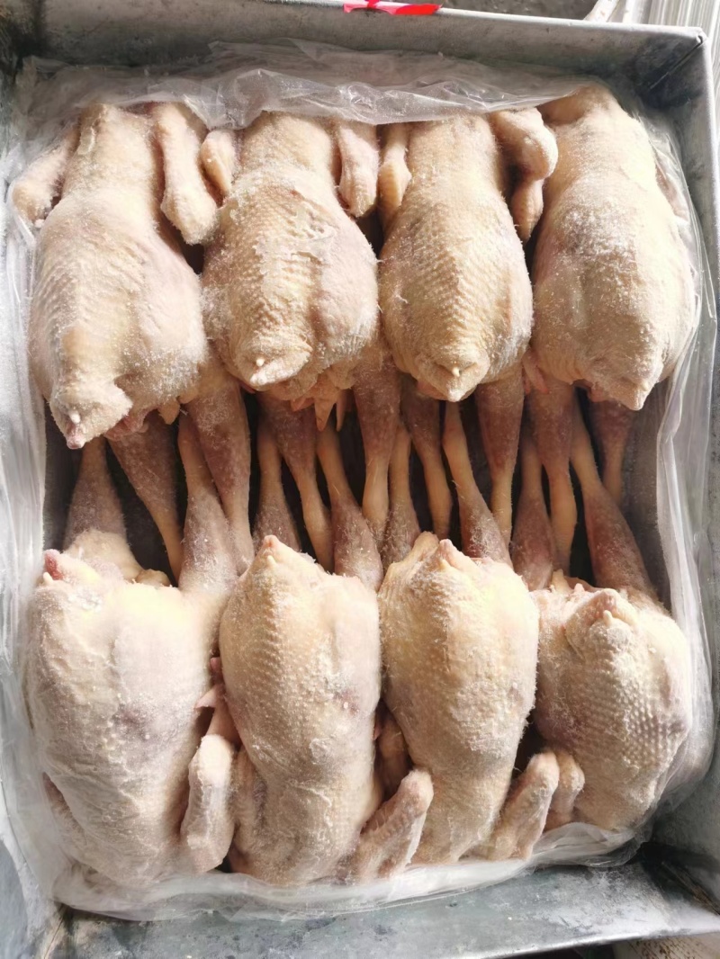 白条鸡，三黄鸡，西装鸡，14，16，17，18，20