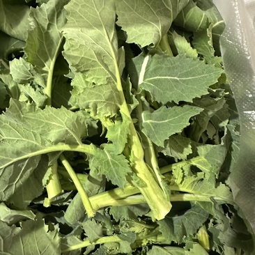 油菜苔