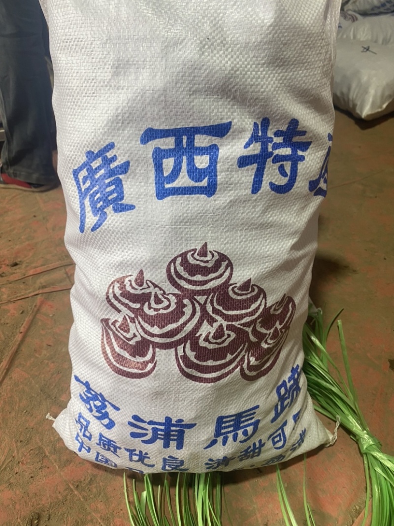 电商大中小马蹄大量有货，有需要的老板请下单