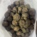 电商大中小马蹄大量有货，有需要的老板请下单