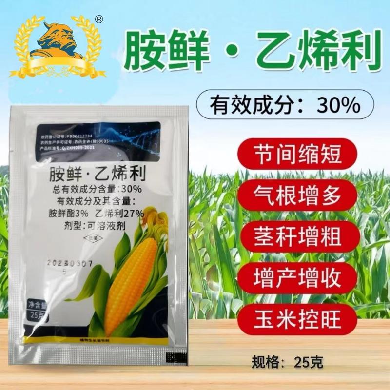 30%胺鲜酯乙烯利玉米控旺增产抗倒矮壮叶面肥正品植物生长