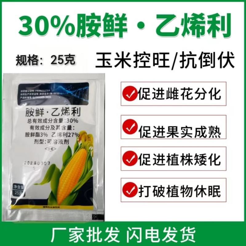 30%胺鲜酯乙烯利玉米控旺增产抗倒矮壮叶面肥正品植物生长