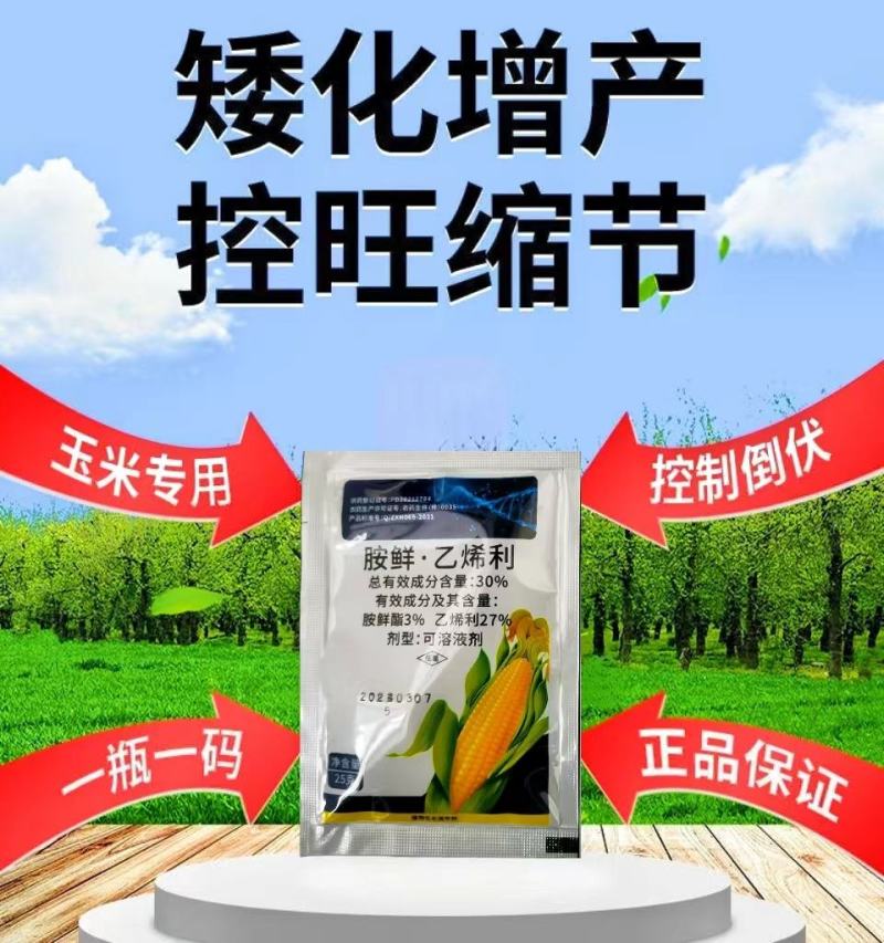 30%胺鲜酯乙烯利玉米控旺增产抗倒矮壮叶面肥正品植物生长