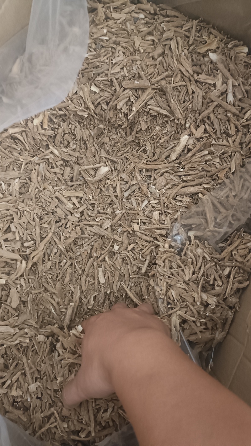 地骨皮