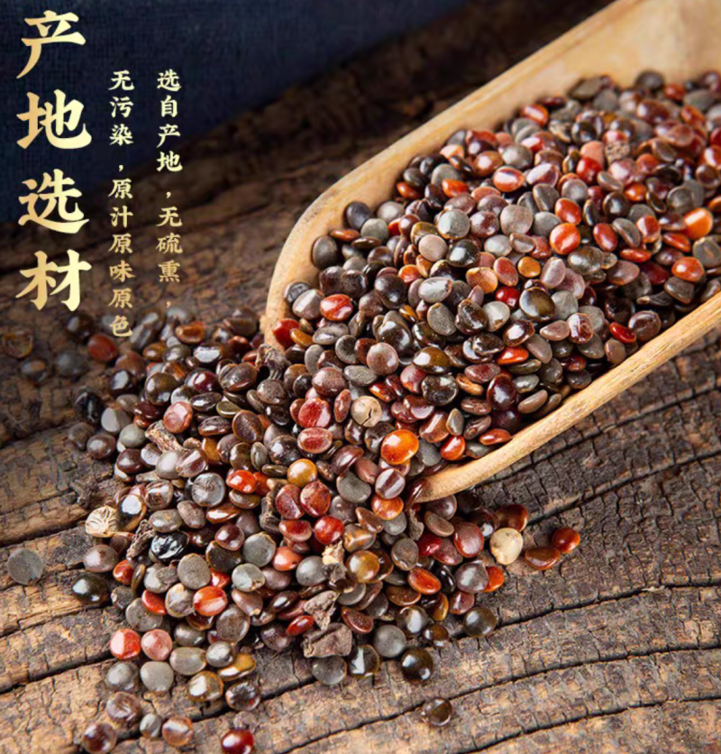 枳椇子中药材积椇子无硫磺颜色好现货批发