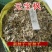 元宝枫种子优质野生绿化庭院地栽育苗林木南北方种植元宝枫种