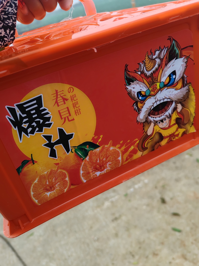耙耙柑