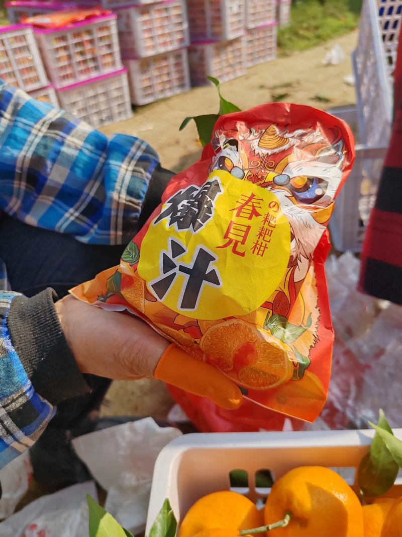 耙耙柑
