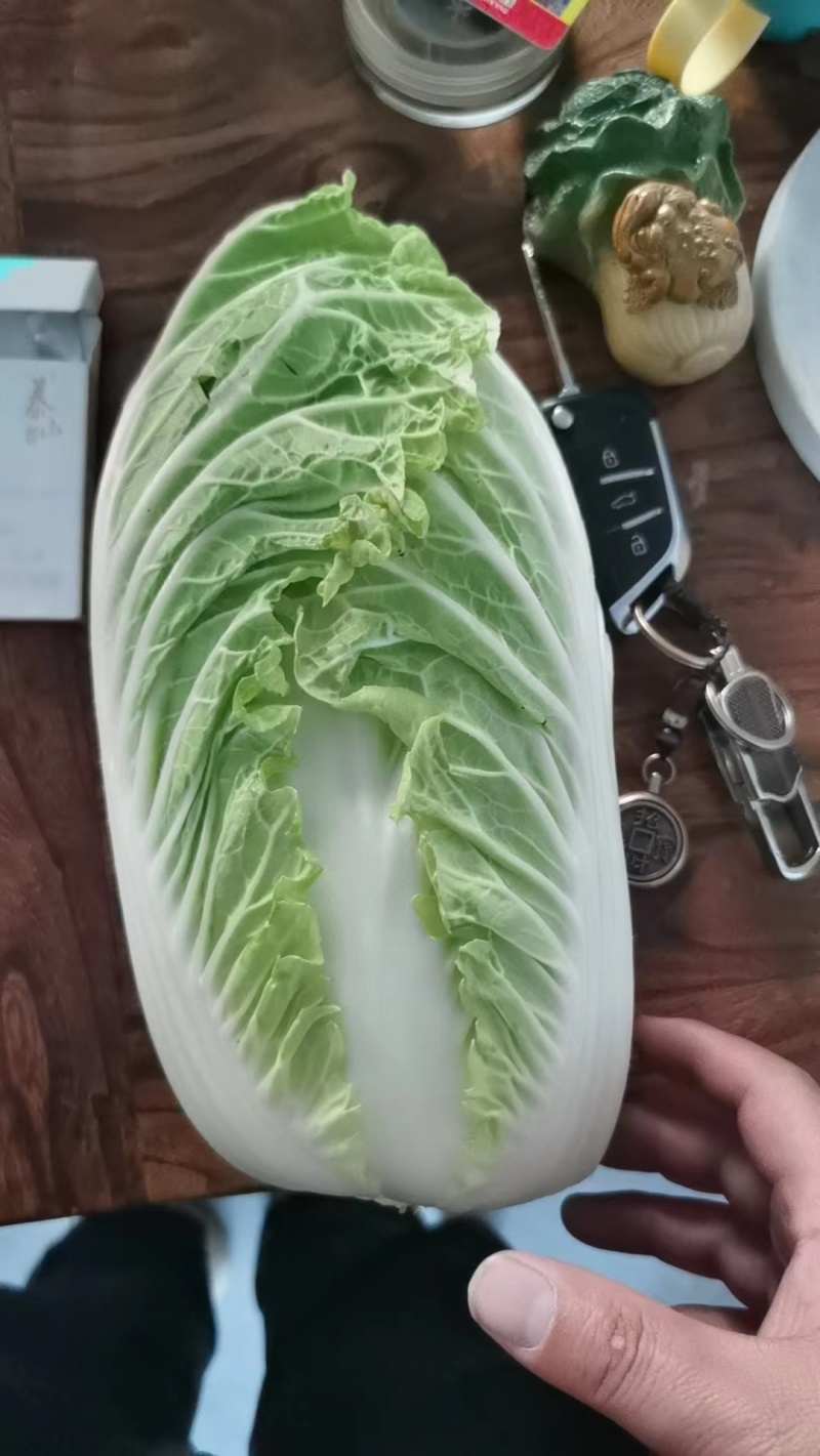 精品娃娃菜