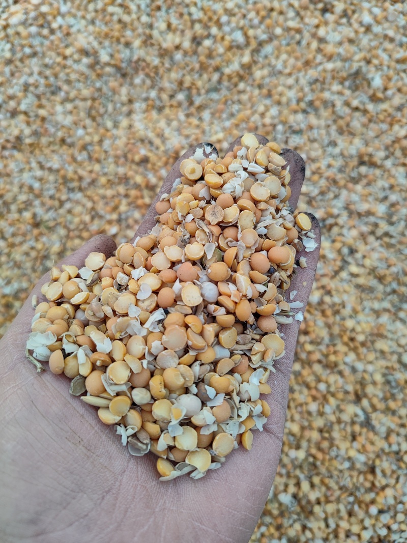 发酵大豆有机肥益生菌发酵富含多种蛋白酶果蔬通用肥料