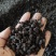 肉骨粉颗粒生物有机肥厂家直供全国发货瓜果蔬菜均可适用