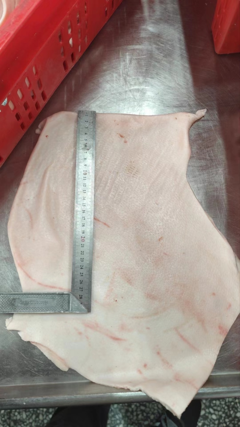 国产肥猪大皮腿皮中方皮无油无毛新货手续齐全厂家直发