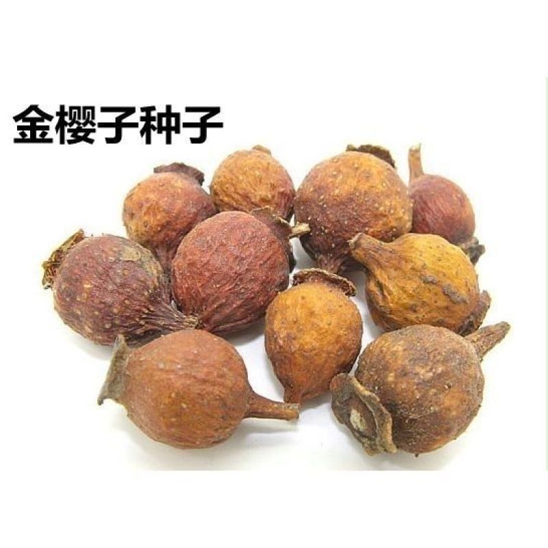 散装中药材种子金樱子种子刺梨山石榴糖罐槟榔果山鸡