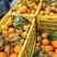 精品脐橙纽荷尔脐橙大量上市中一手货源量大从优欢迎咨询