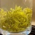 大量湖南湘西永顺莓茶