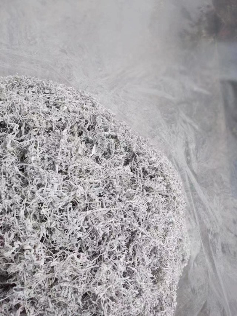 大量湖南湘西永顺莓茶
