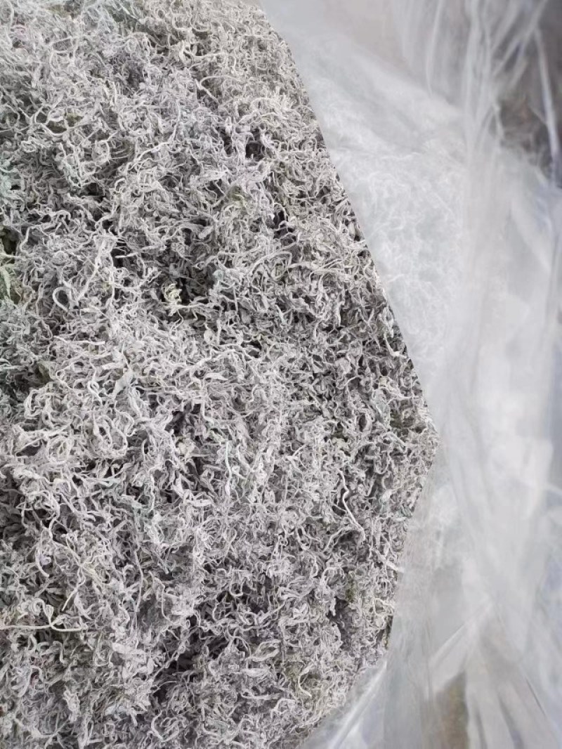 大量湖南湘西永顺莓茶