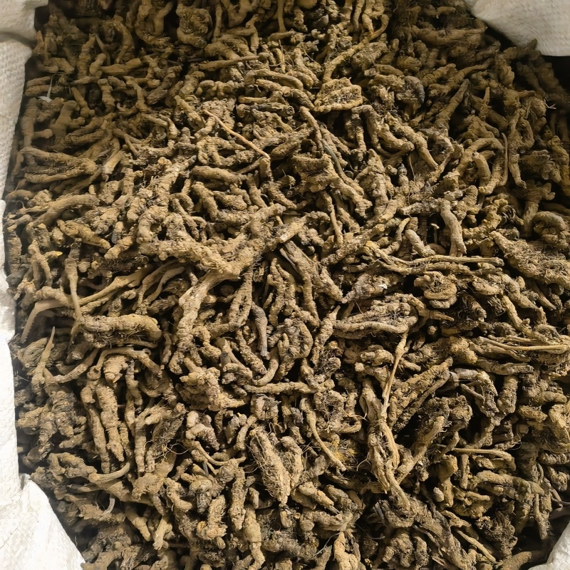 续断选货个头饱满实图拍摄今年新货实图拍摄物美价廉
