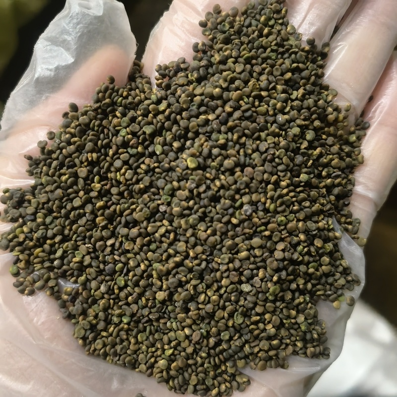 续断选货个头饱满实图拍摄今年新货实图拍摄物美价廉