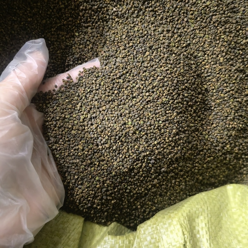 续断选货个头饱满实图拍摄今年新货实图拍摄物美价廉