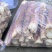 精品雷笋竹笋每日现挖现发产地直供货源质量保证