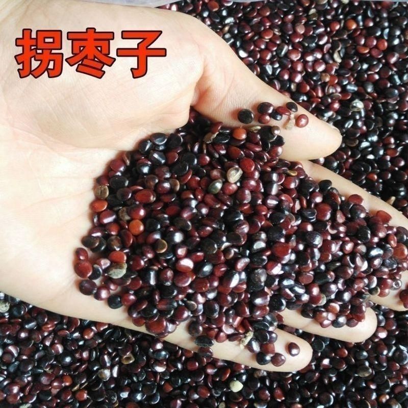 拐枣种子万寿果种籽万子梨鸡爪连金钩梨拐枣儿鸡爪子龙爪果树
