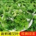 【广东梅州原产地热卖】新鲜艾草可食用艾叶艾草新鲜现摘现发
