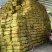 荔枝树火炭