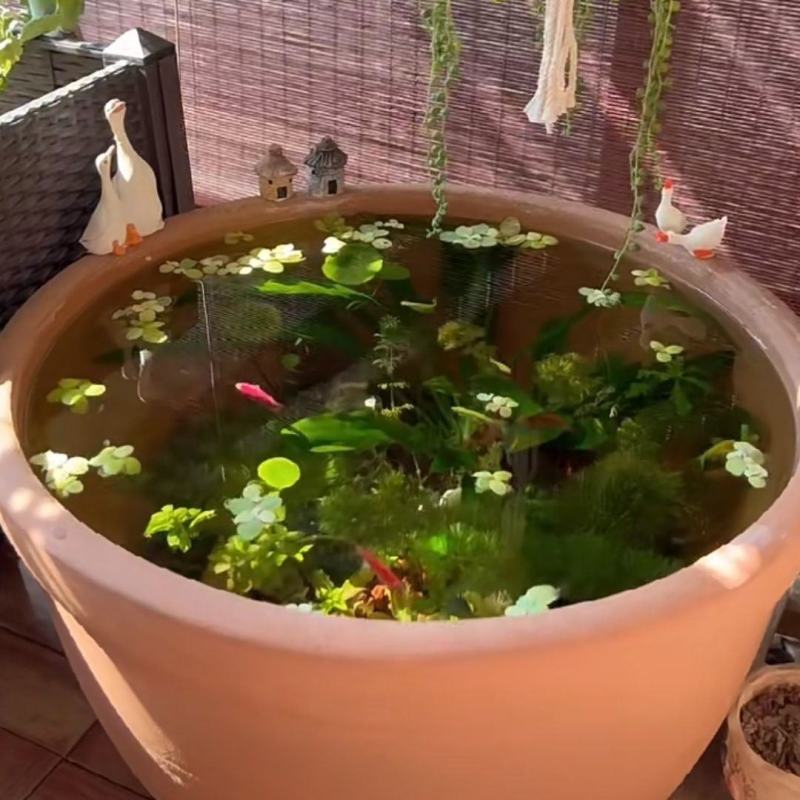 粗陶老式家用养鱼缸酱缸腌肉腌菜户外造景大号荷花缸鱼缸包邮