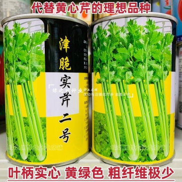 璐通芹菜种子津脆实芹二号芹菜种籽黄心芹种子粗纤维少实心芹