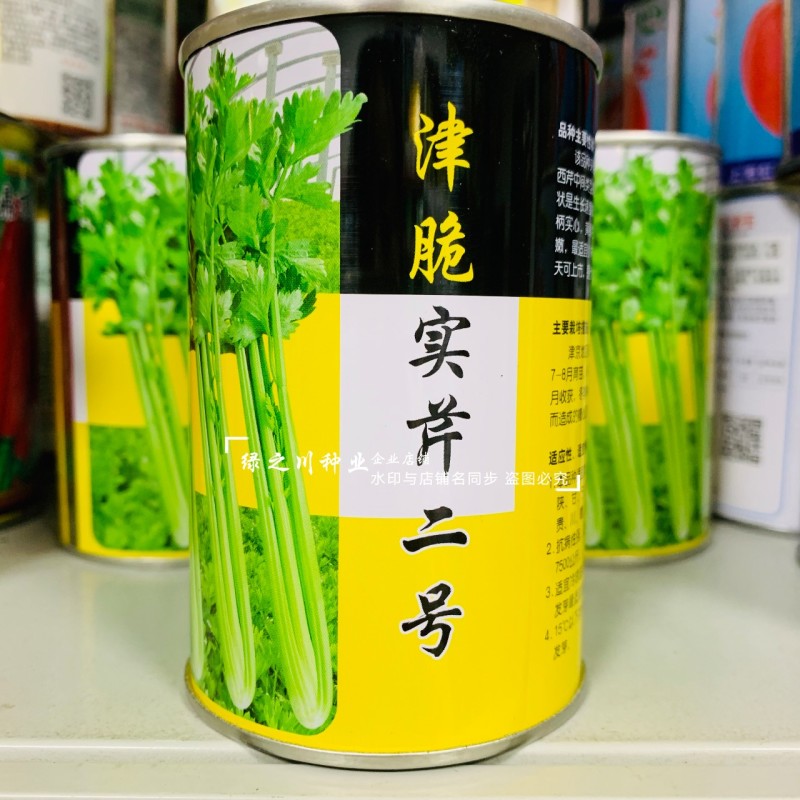 璐通芹菜种子津脆实芹二号芹菜种籽黄心芹种子粗纤维少实心芹