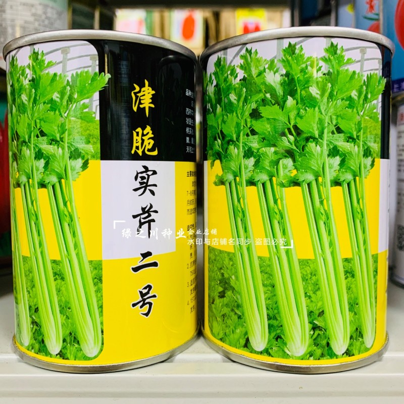 璐通芹菜种子津脆实芹二号芹菜种籽黄心芹种子粗纤维少实心芹