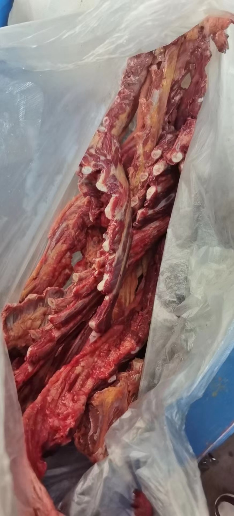 驴肉小排软排国产的颜色好肉多支持样品发货