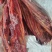 驴肉小排软排国产的颜色好肉多支持样品发货