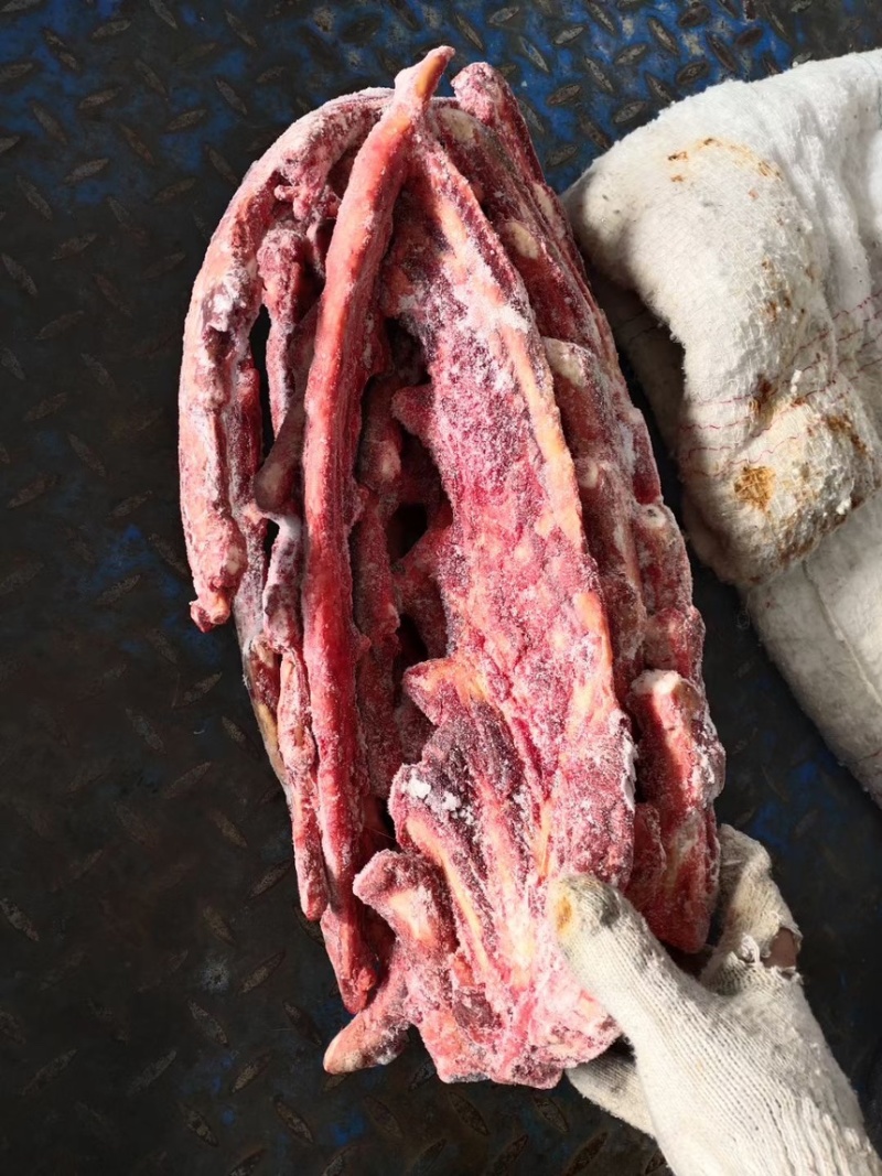 驴肉小排软排国产的颜色好肉多支持样品发货