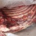 驴肉小排软排国产的颜色好肉多支持样品发货