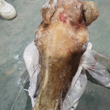 马头带皮头鲜冻带皮头嫩口纯水褪质量非常好发全国