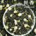 浓香型茉莉花茶新茶高山茉莉花茶