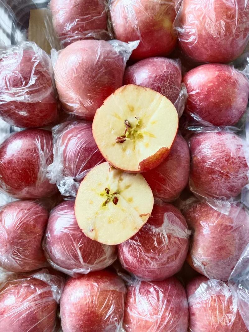 山西苹果，冰糖膜袋苹果优质黄土高坡纸加膜片红条红富士苹果
