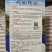 川地特7号莴笋种子红叶尖叶品种种子