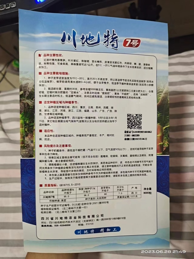 川地特7号莴笋种子红叶尖叶品种种子