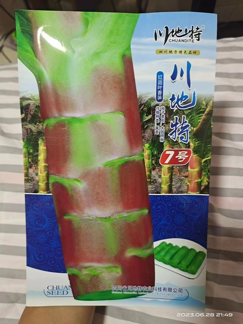 川地特7号莴笋种子红叶尖叶品种种子