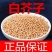 中药材白芥子种子籽白芥末籽白芥子粉芥菜子种子白芥末粉5