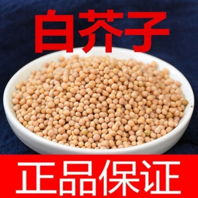 中药材白芥子种子籽白芥末籽白芥子粉芥菜子种子白芥末粉5