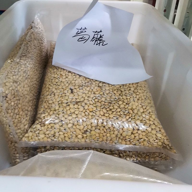 葛藤种子护坡种籽百花银背藤野葛根边坡绿化藤本植物沙土巩固