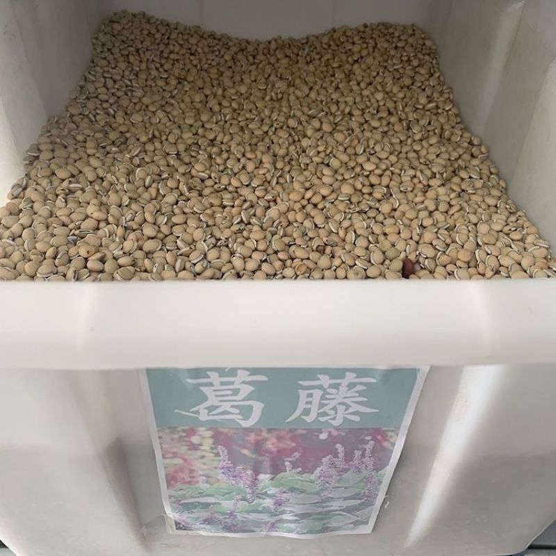 葛藤种子护坡种籽百花银背藤野葛根边坡绿化藤本植物沙土巩固