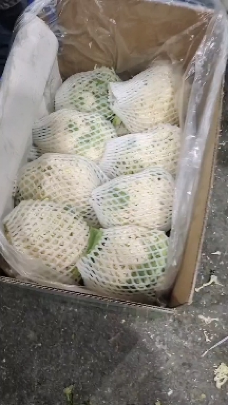福建有机花面白无根小米粒松散个头小商超电商货源充足质量好