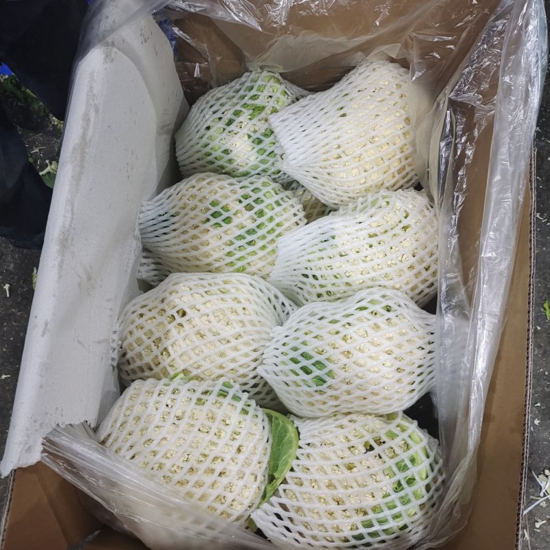 福建有机花面白无根小米粒松散个头小商超电商货源充足质量好