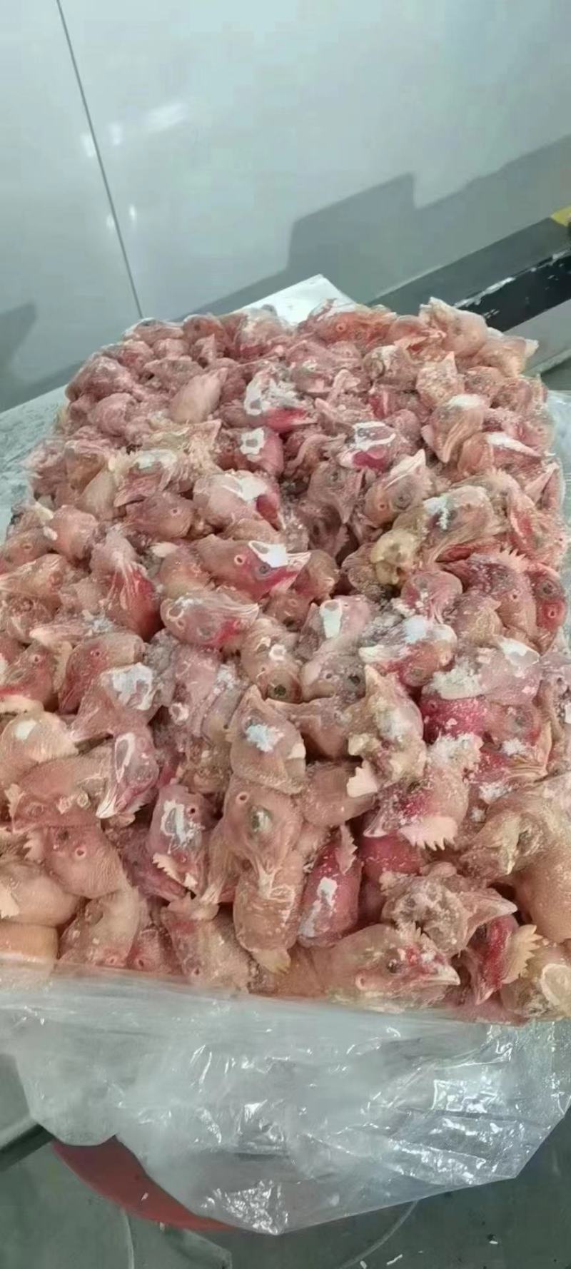 鸡头