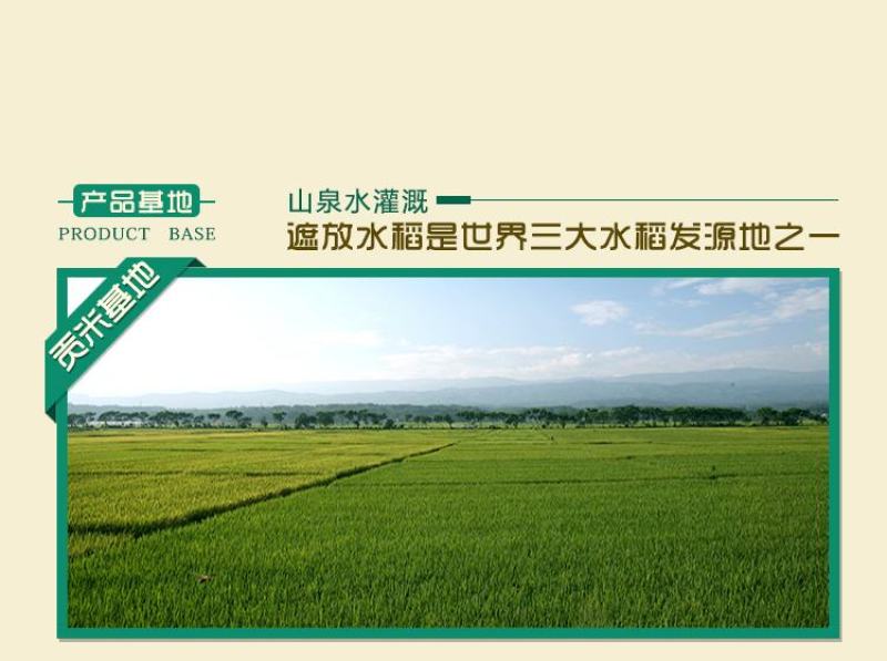 2024新米遮放贡米10斤云南特产德宏香米毫贡